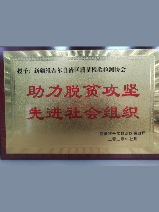 助力脱贫攻坚先进社会组织